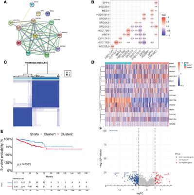 A novel prognostic model for prostate cancer based on androgen biosynthetic and catabolic pathways